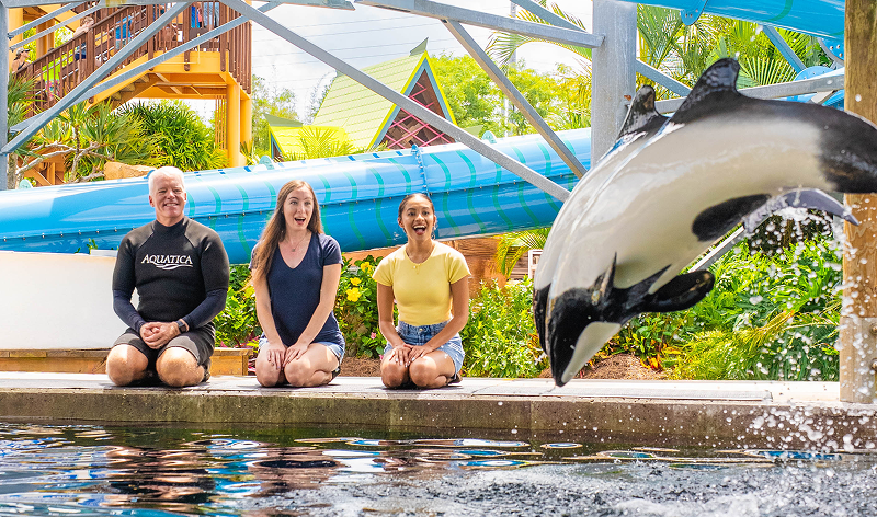 Dolphin jumping in front of a waterslide at Aquatica Orlando