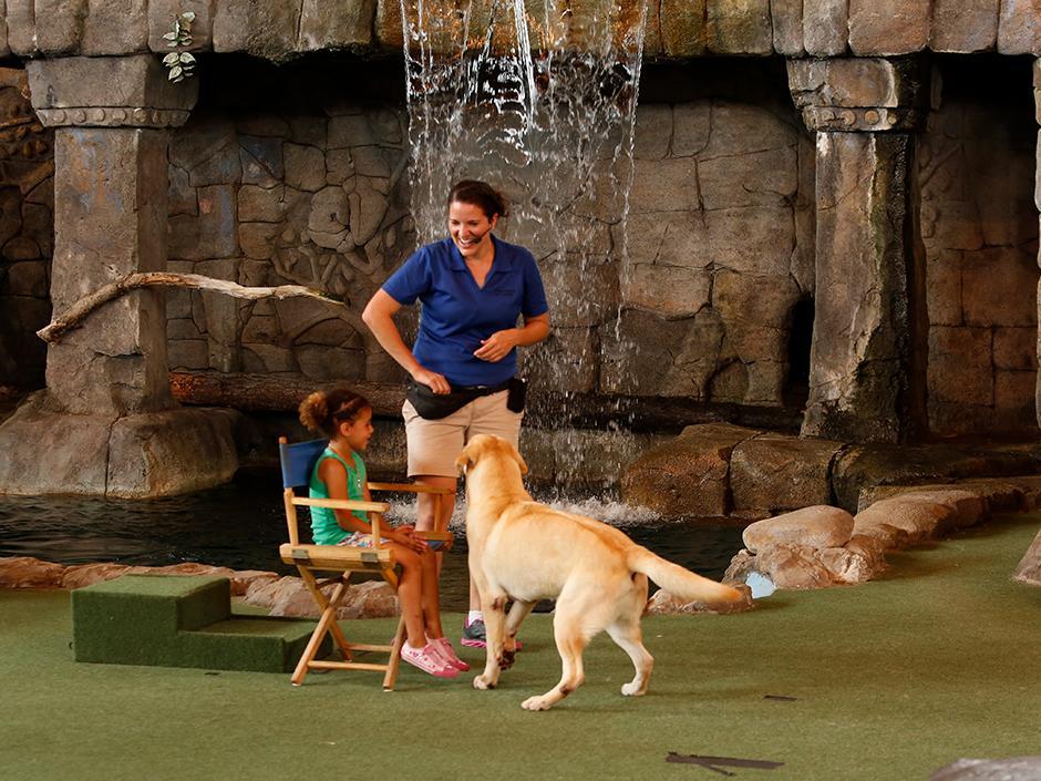 Animal trainer and dog performing during Animal Actors On Location! at Universal Studios Florida