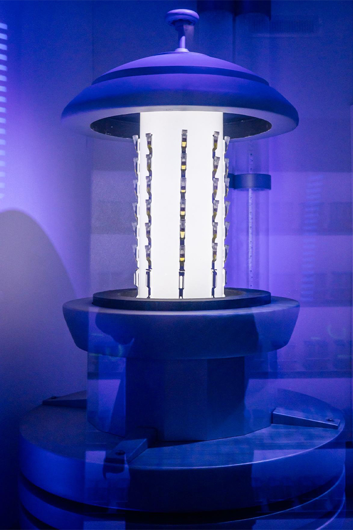 A fixture holds multiple vials of dinosaur DNA inside Jurassic World: Escape at Universal's Great Movie Escape
