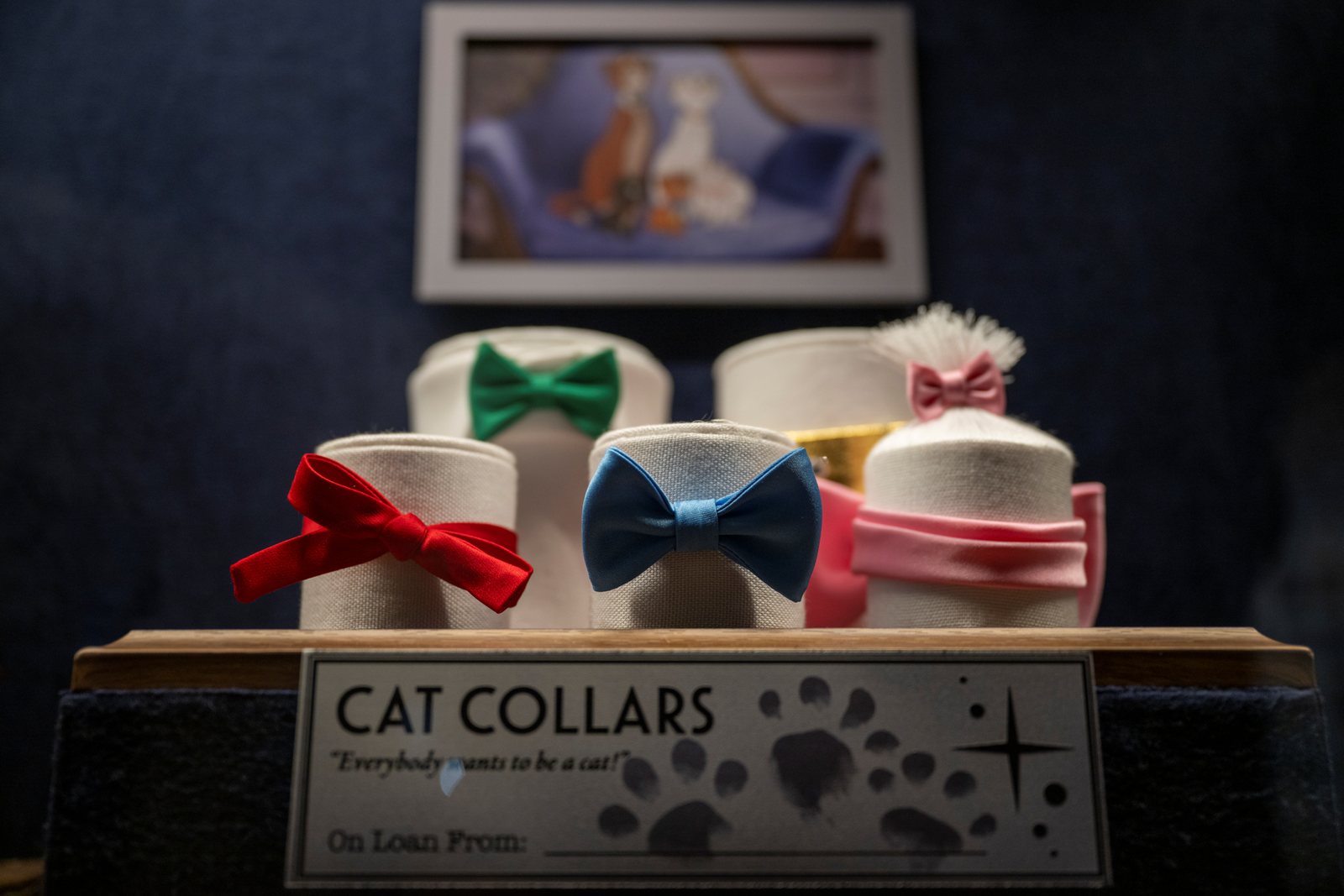 Aristocats collars in the treasures display