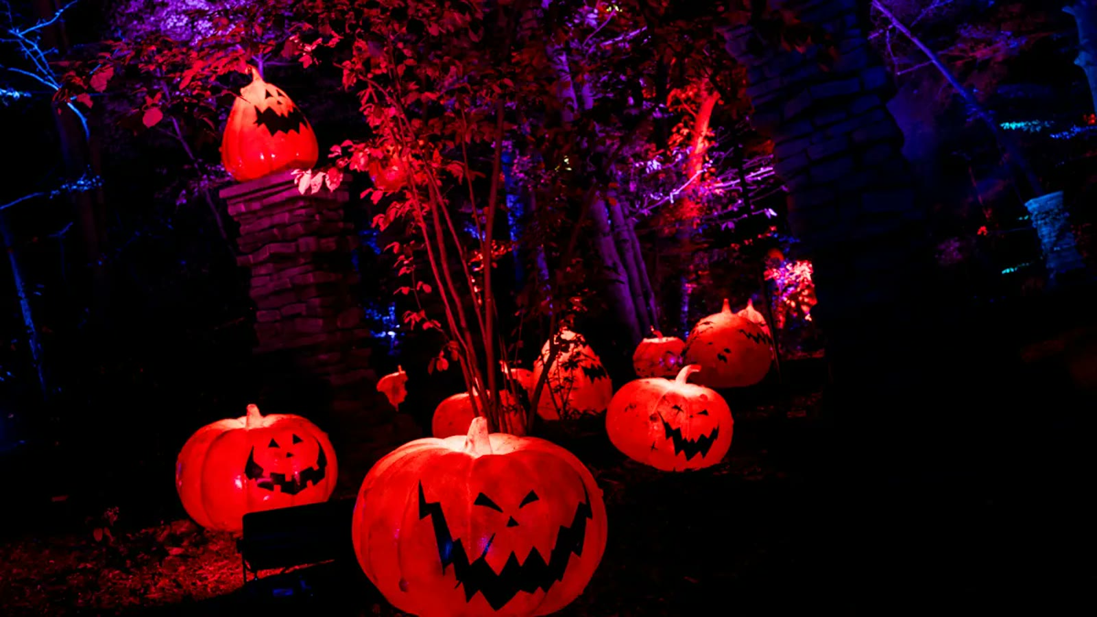 Illuminated Halloween Town pumpkins in official Nightmare Before Christmas Light Trail imagery