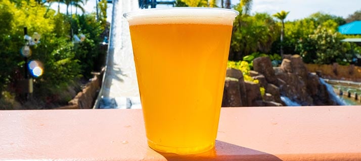 A beer sample at SeaWorld Orlando
