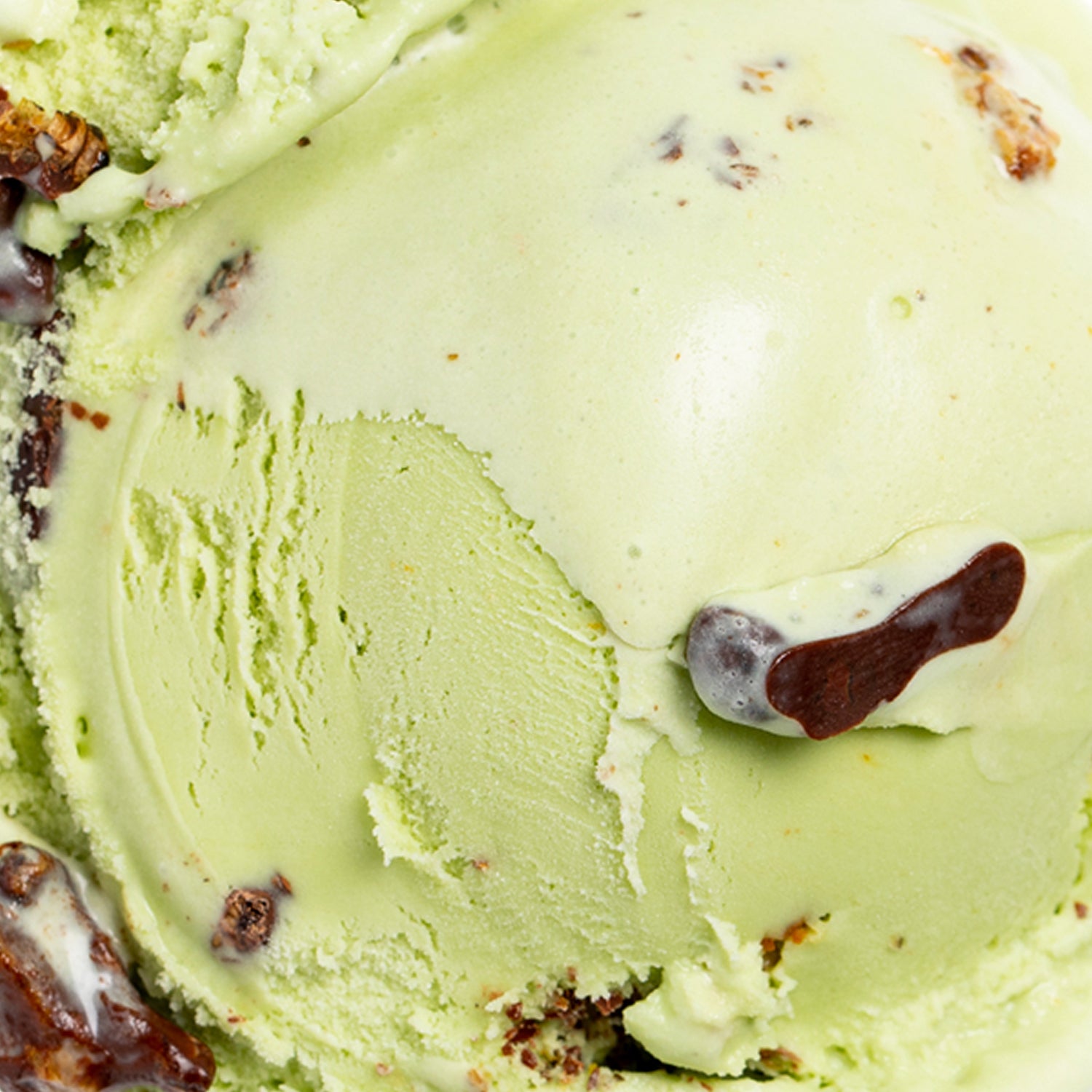 Creepy Crawly Critters green matcha ice cream with candy-coated insects