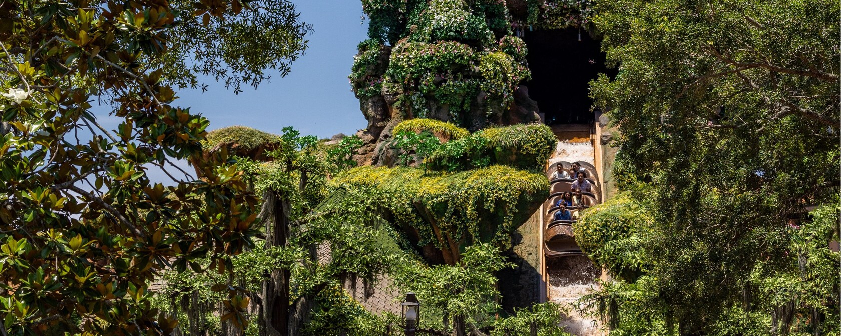 A Tiana's Bayou Adventure log descends the final drop at Magic Kingdom