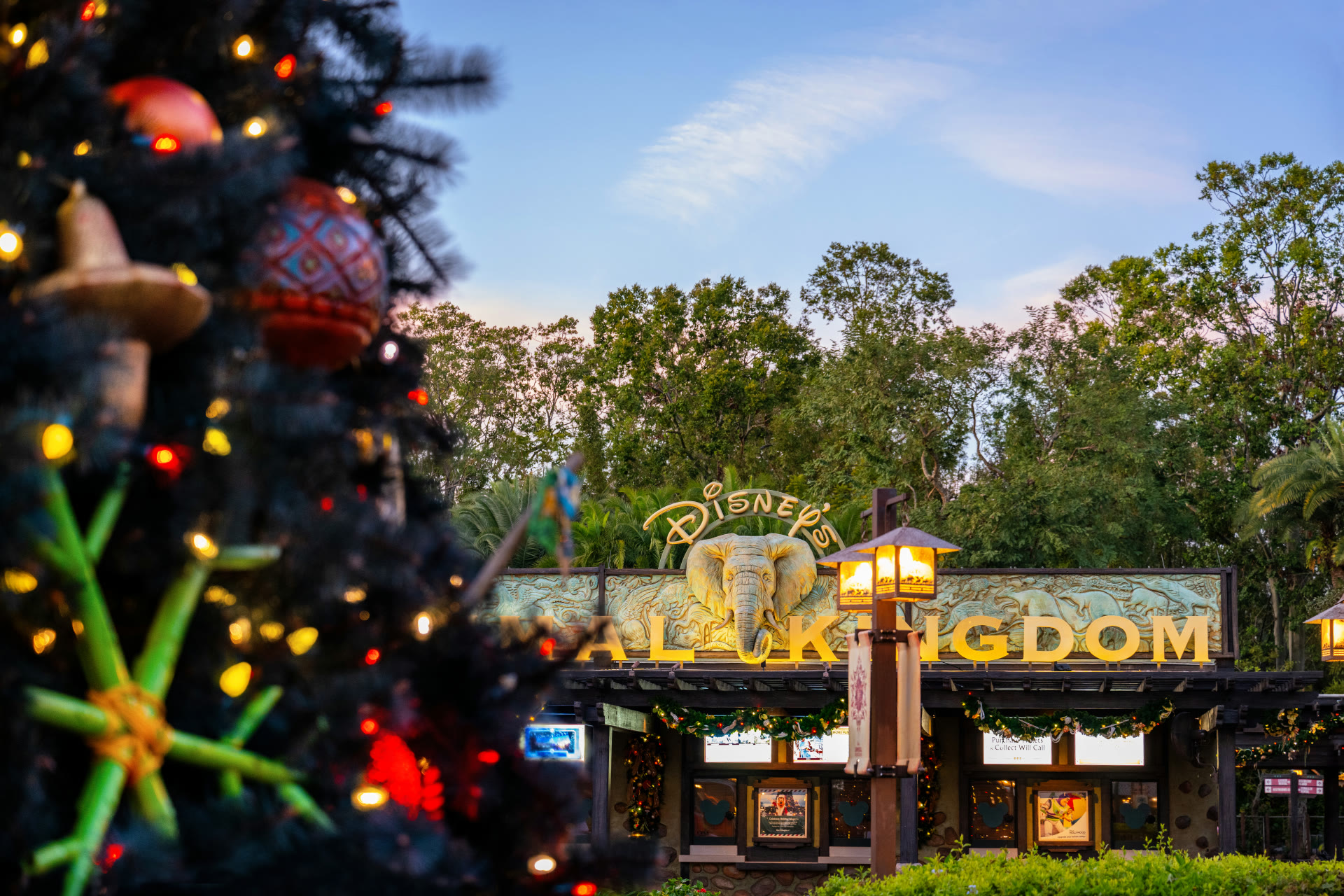 Holiday decorations at the entrance to Disney’s Animal Kingdom