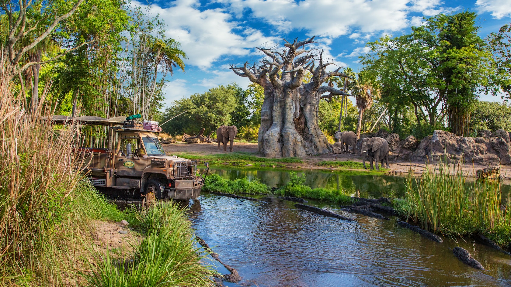Safari vehicle crossing the savanna on Kilimanjaro Safaris at Disney’s Animal Kingdom