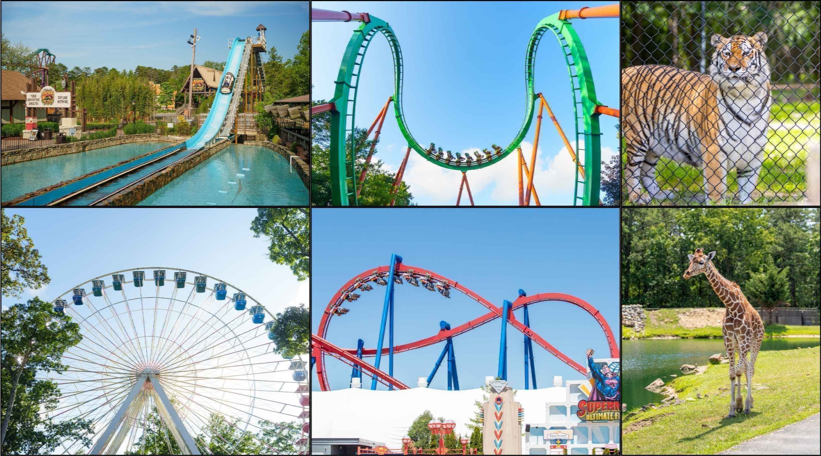 Six Flags Great Adventure attractions and Wild Safari animals
