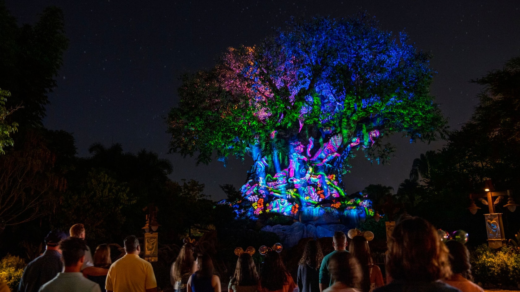 Animal images projected onto the Tree of Life as guests watch at night