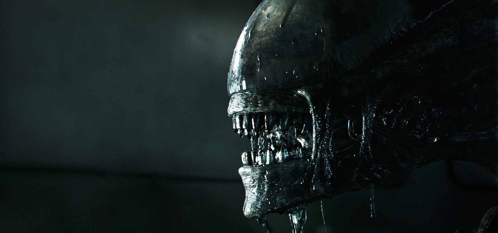 A Xenomorph in an official Alien: Covenant image from 20th Century Studios