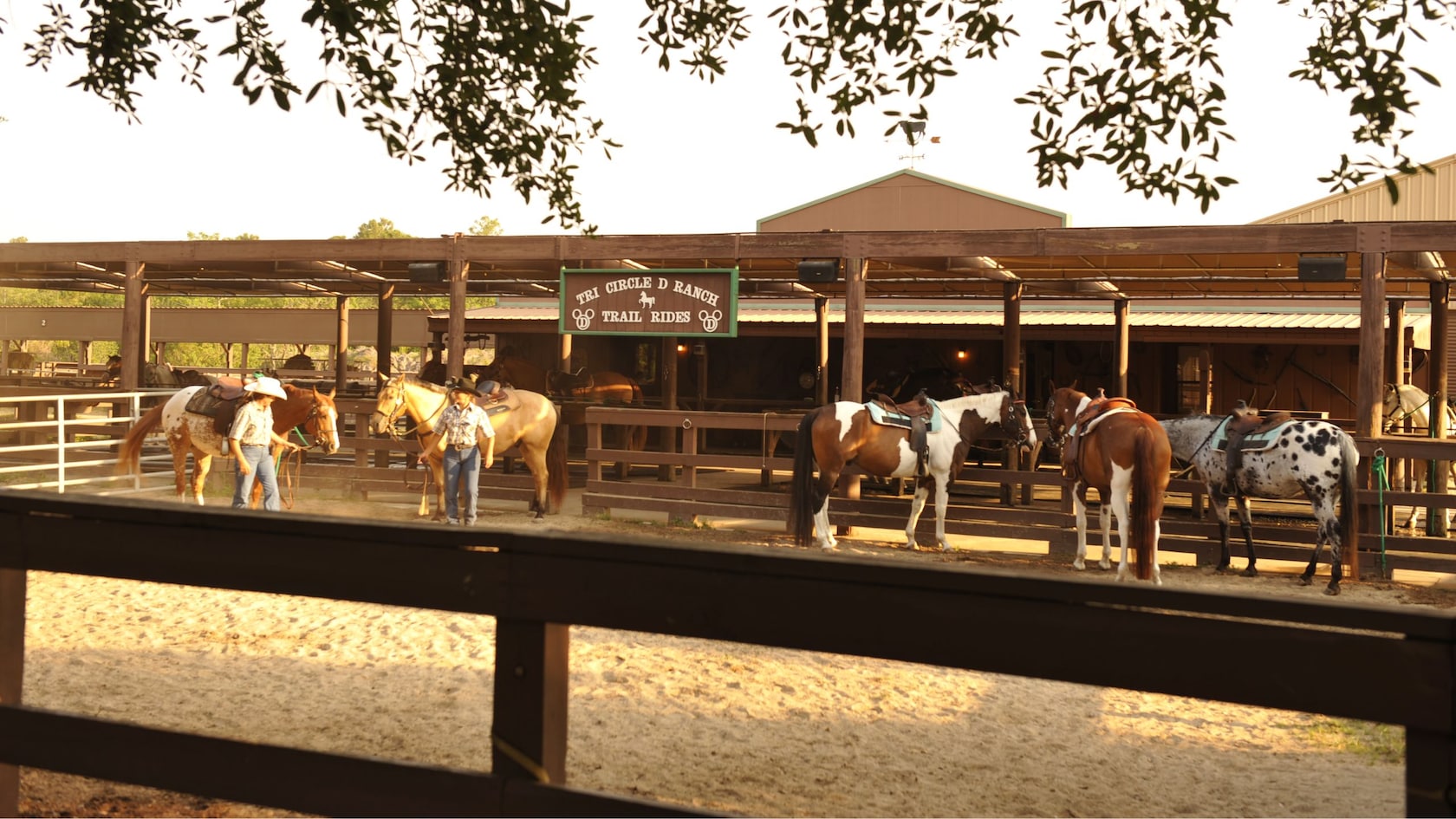 Horses at the Tri-Circle-D Ranch Trail Rides corral