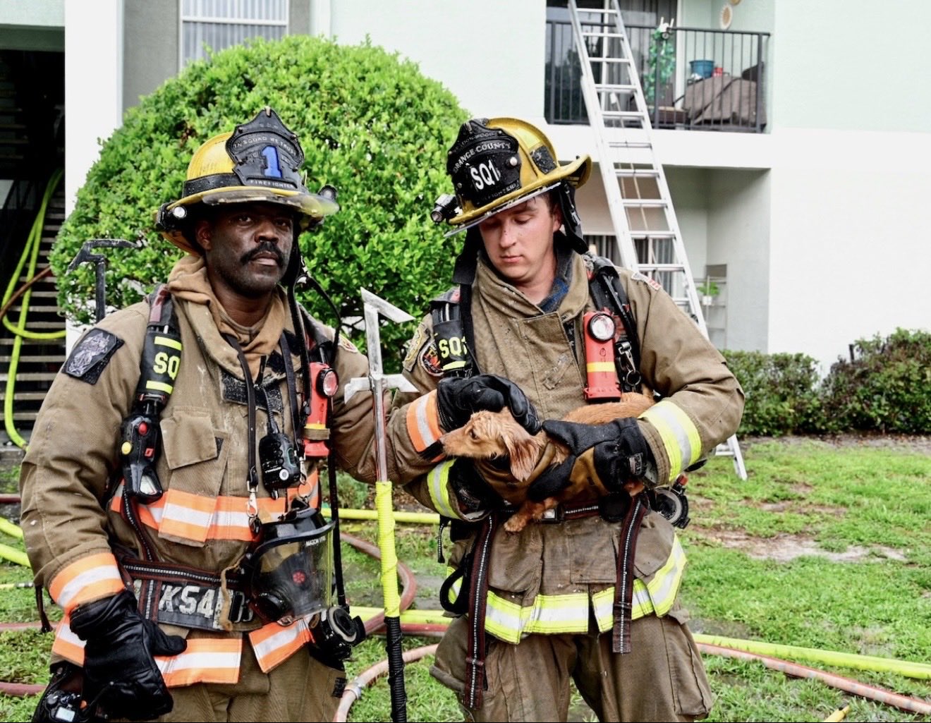 Orange County Fire Rescue firefighters holding a small dog outside Buena Vista Place Apartments