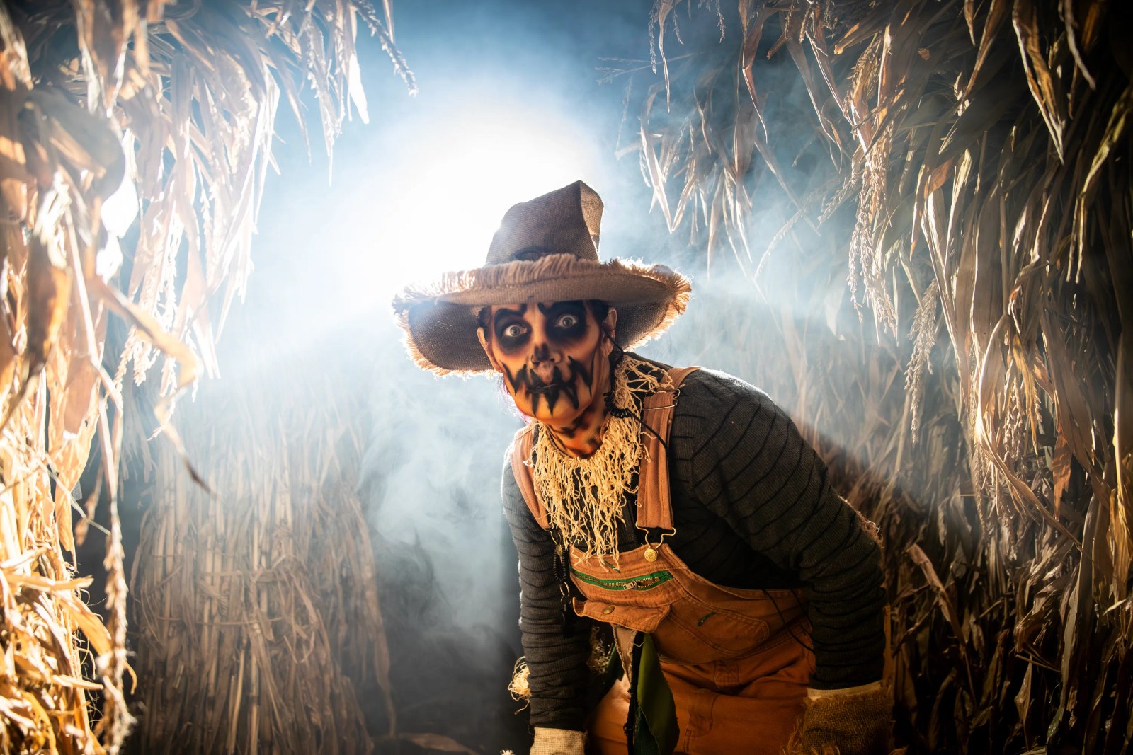 Scarecrow performer in a cornfield for Cedar Point HalloWeekends
