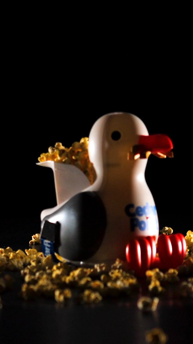 Cedar Point seagull popcorn bucket in an official park video still