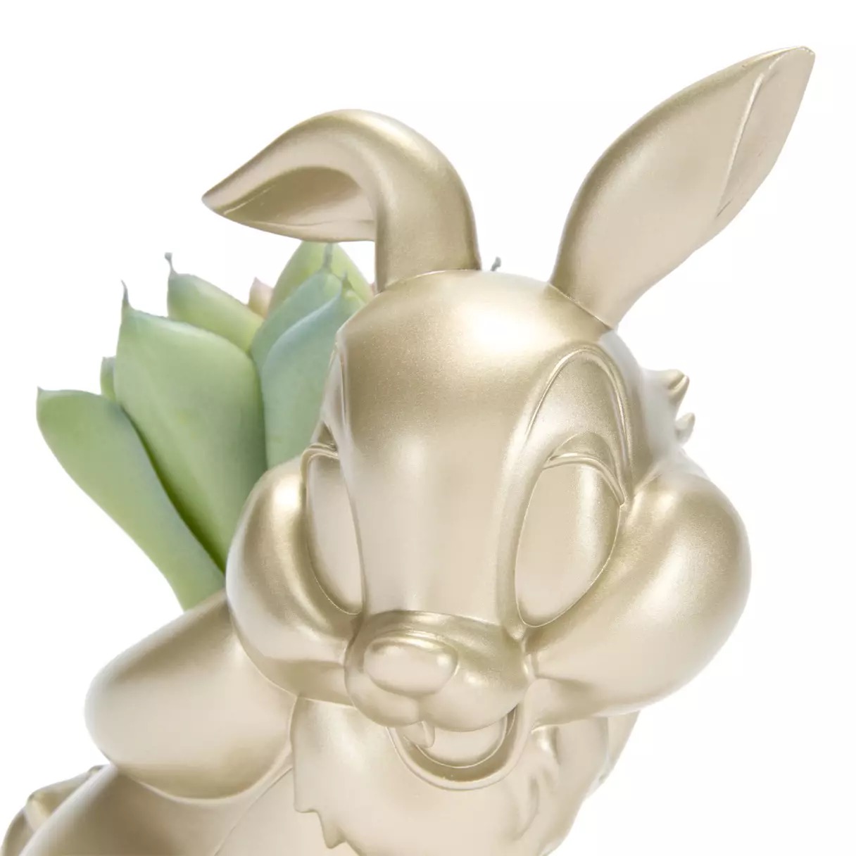 Thumper Faux Succulent Holder, official product view 4.