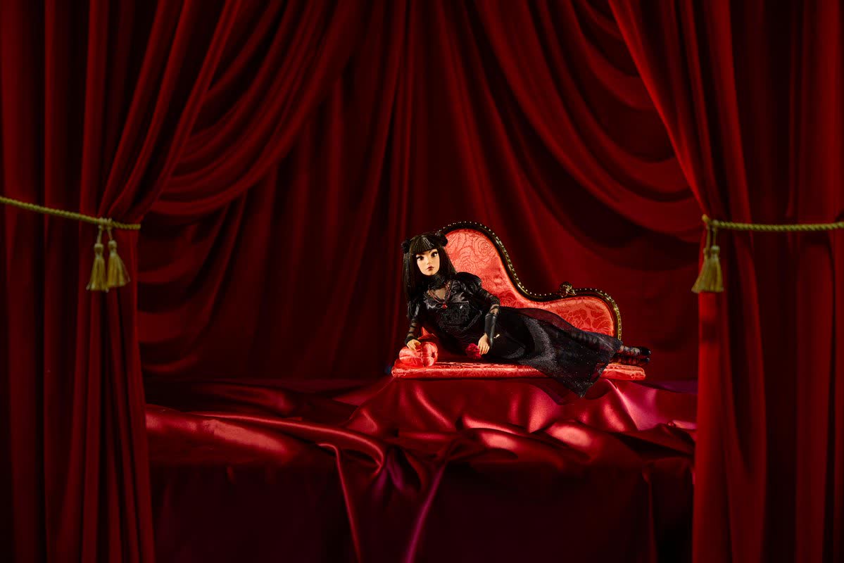 Close view of the Werecat Lady Limited Edition Doll packaging