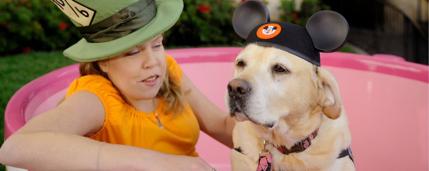 A Disney World guest sits beside a service dog wearing Mickey ears