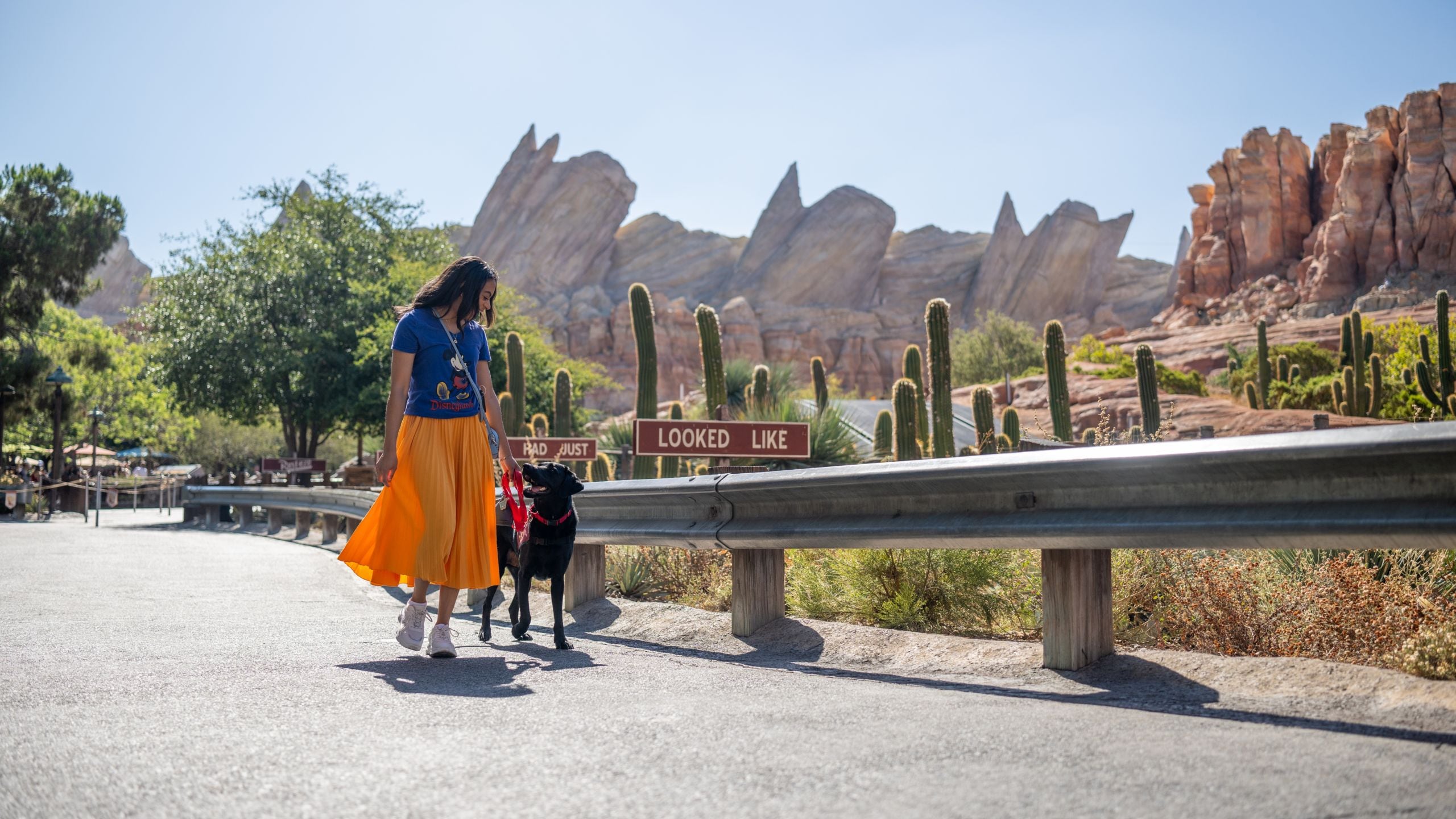 A Disneyland guest walks with her service dog beside Radiator Springs Racers