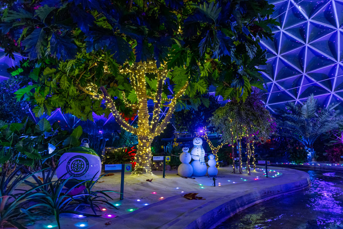 Living with the Land Glimmering Greenhouses at EPCOT
