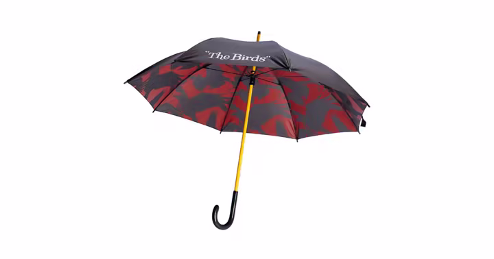 The Birds umbrella with black and red bird artwork from Shop Universal