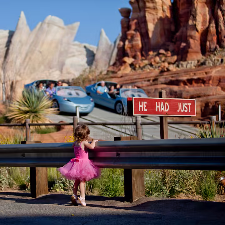 File photo: Radiator Springs Racers in Cars Land. This image does not show the construction walls.