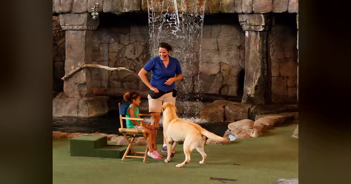 Animal trainer and dog performing during Animal Actors On Location! at Universal Studios Florida