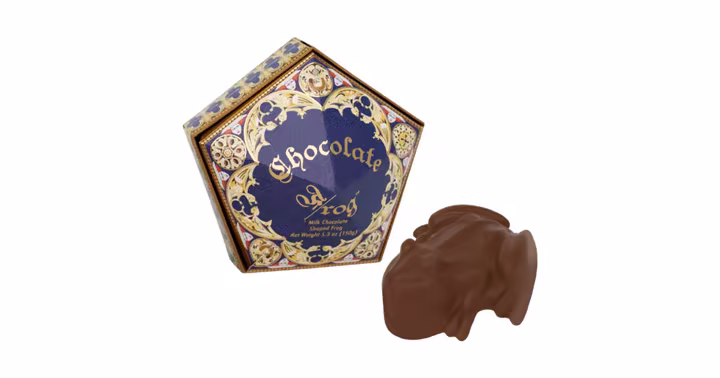 Chocolate Frog box and milk chocolate frog from Shop Universal