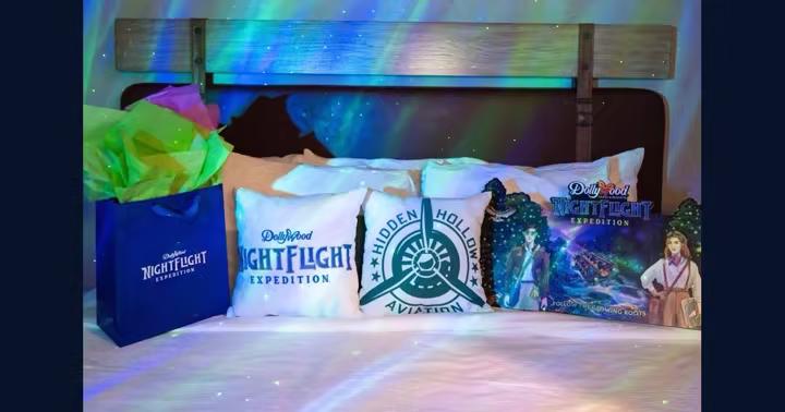 NightFlight Expedition merchandise and themed decor arranged in a Dollywood resort room