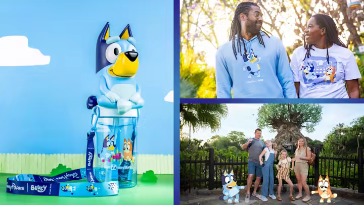 Bluey's Wild World artwork for Disney's Animal Kingdom