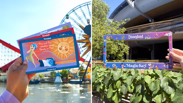 Disney California Adventure billboard magnets and a Magic Key license plate frame.