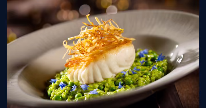 Pan-roasted halibut from The Hollywood Brown Derby at Disney's Hollywood Studios