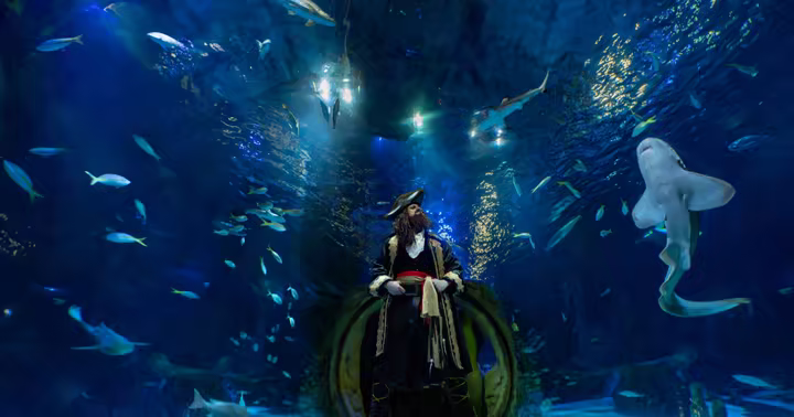 Pirates and families inside SEA LIFE Orlando's ocean tunnel