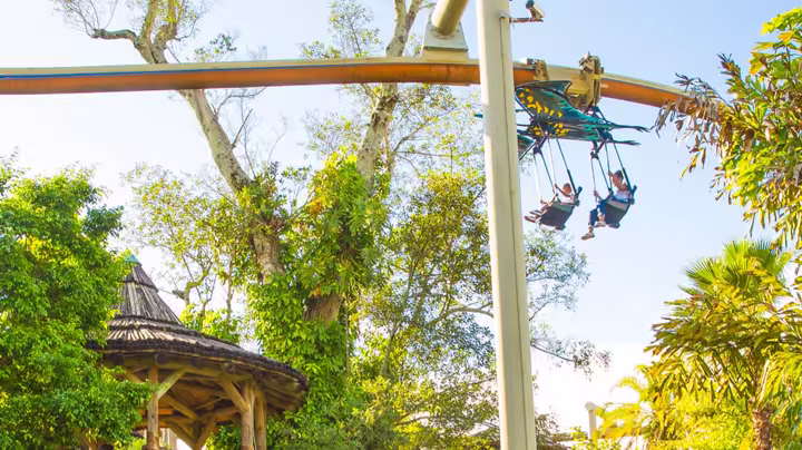 Pteranodon Flyers gliding above Camp Jurassic landscaping at Universal Islands of Adventure