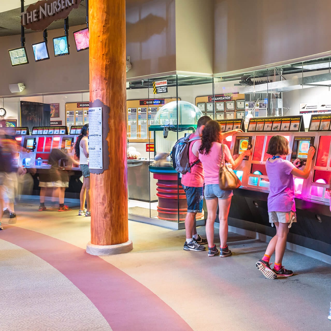 Guests viewing dinosaur egg incubators inside Jurassic Park Discovery Center