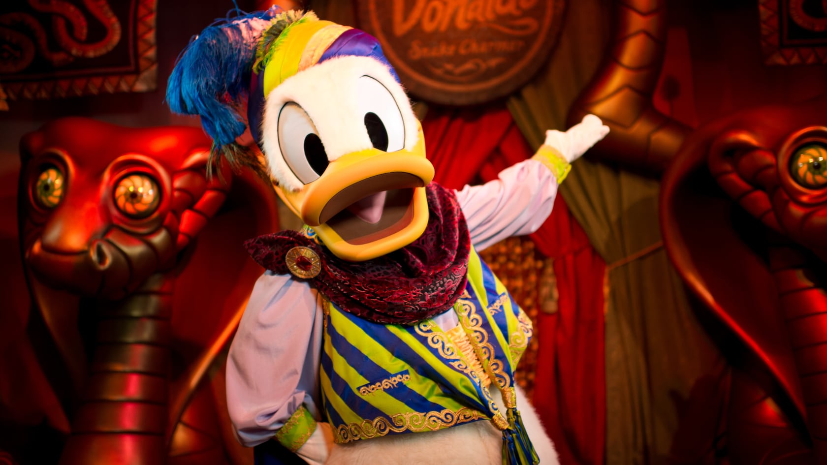 Donald Duck inside Pete's Silly Sideshow at Magic Kingdom