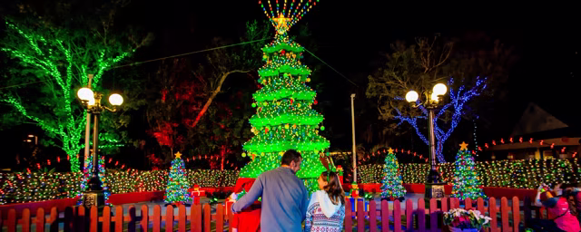 Families look toward a brightly lit LEGO Christmas tree at LEGOLAND Florida