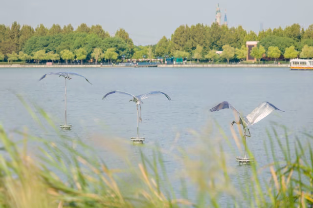 Three Siberian crane sculptures positioned over Wishing Star Lake
