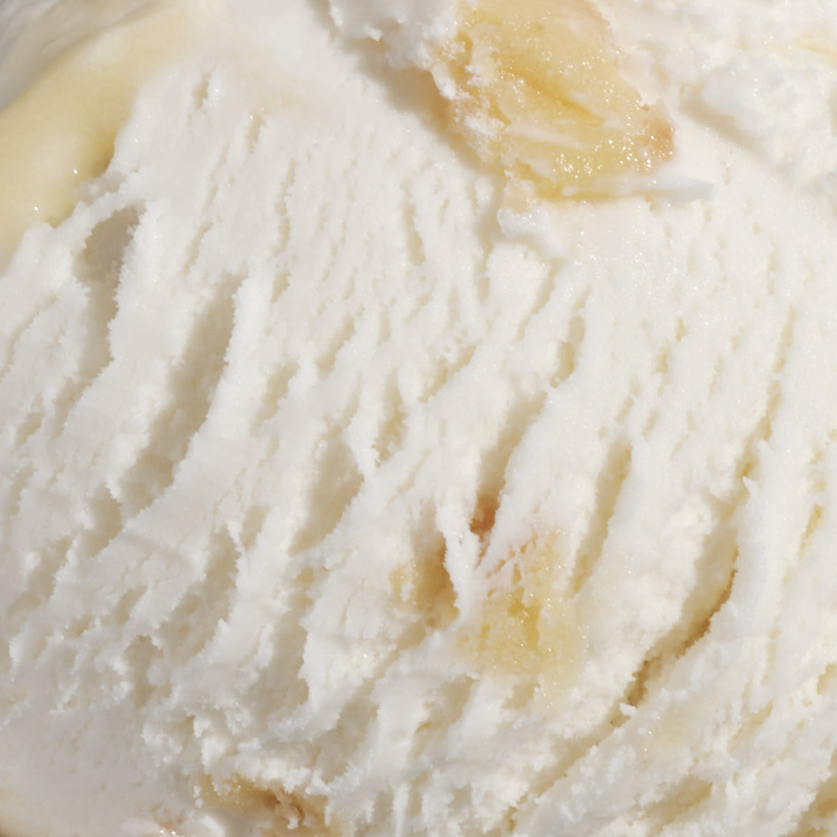 Wildflower Honey and Lemon Chess Pie frozen yogurt from Salt & Straw