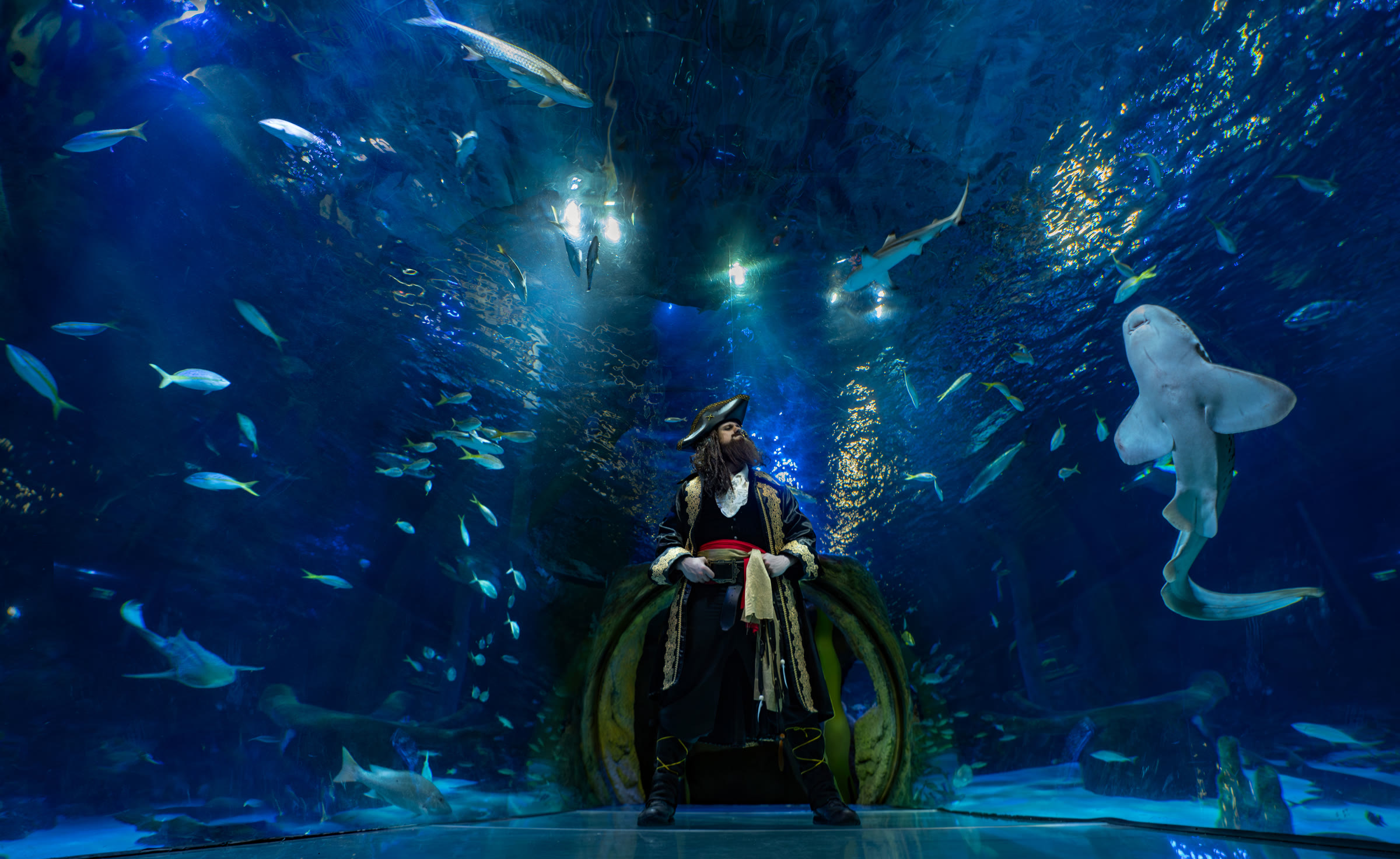 Pirates and families inside SEA LIFE Orlando's ocean tunnel