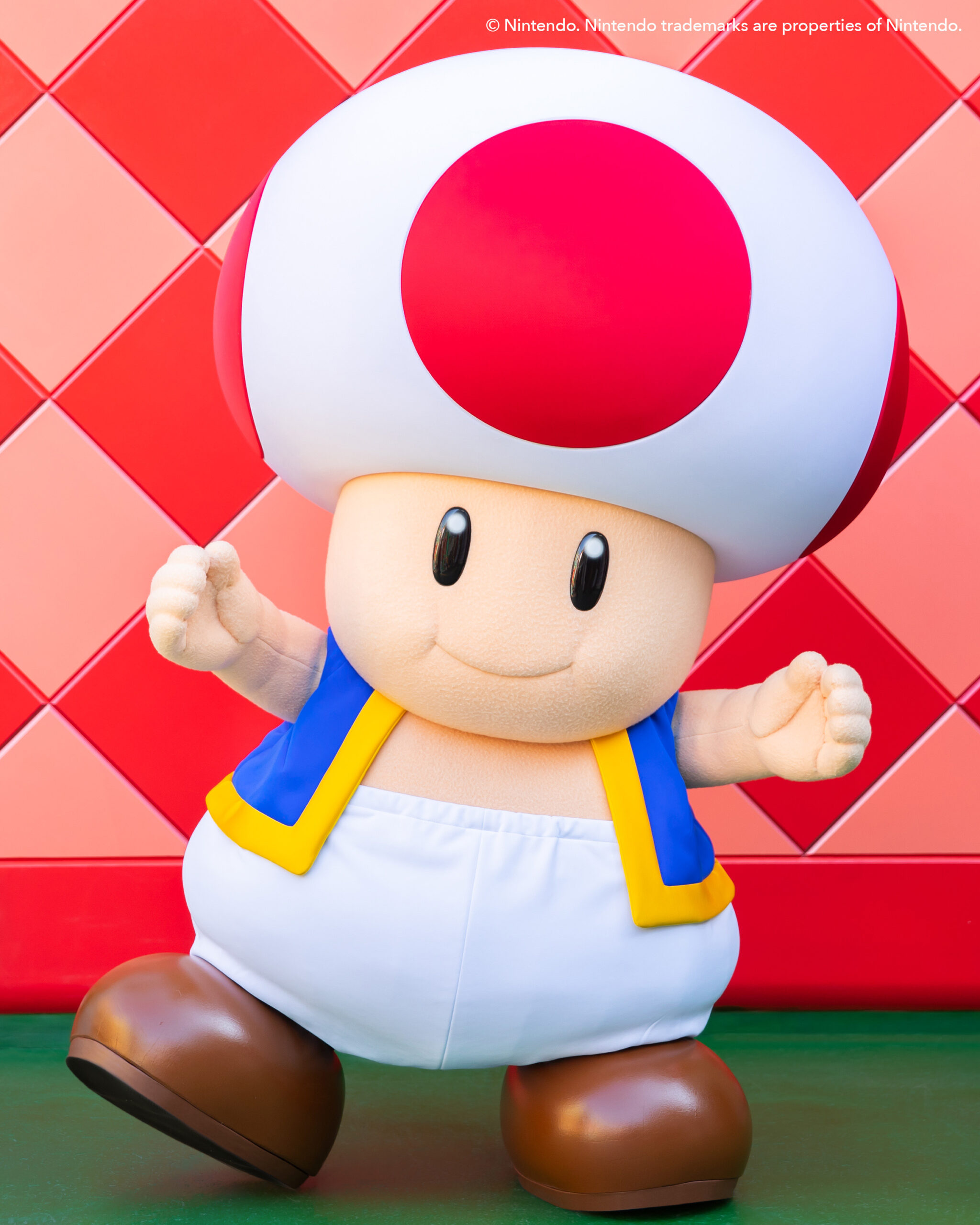 Official Toad character photograph from Super Nintendo World at Universal Studios Hollywood
